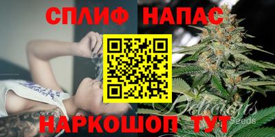 гашик Мирный
