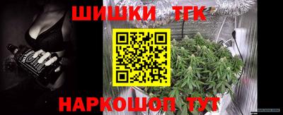 гашик Мирный
