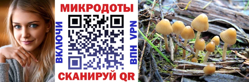 Псилоцибиновые грибы Cubensis  Якутск 