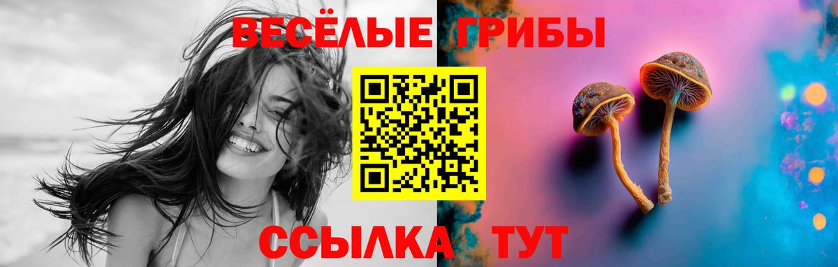 Галлюциногенные грибы Magic Shrooms  Вход с VPN  Якутск  Псилоцибиновые грибы прущие грибы 